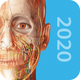 visiblebody电脑版下载-visible body中文版pc2018版下载v3.1.3 桌面最新版