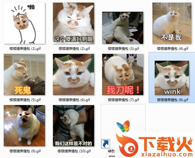 楼楼猫gif动态图表情包