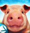 猪猪模拟器之猪的一生下载-PigSimulator(猪猪模拟器之猪的一生)v1.01 安卓版