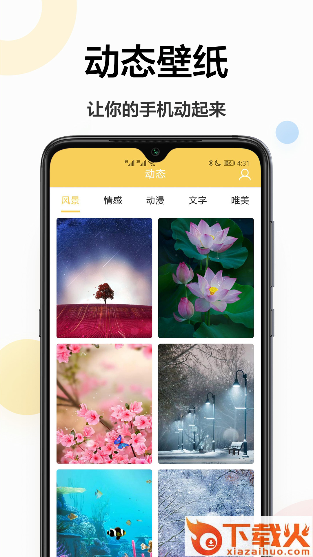 手机主题壁纸截图1