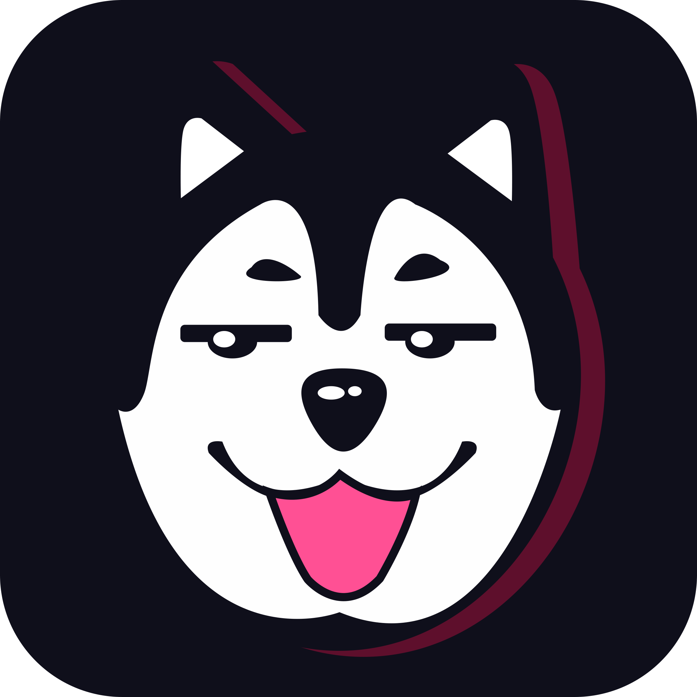 二哈app v1.3.0 安卓版