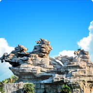 创城管理app v4.1.2 最新版