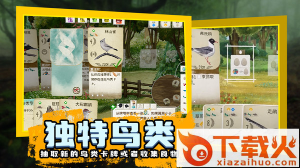 鸟类观察家 v1.1.101 最新版截图2