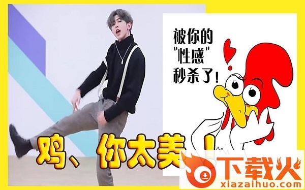 鸡你太美表情包