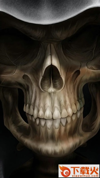 头骨动态壁纸(Skulls Live Wallpaper)下载截图1