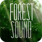 森林之声FOREST SOUND v01.00.21 安卓版