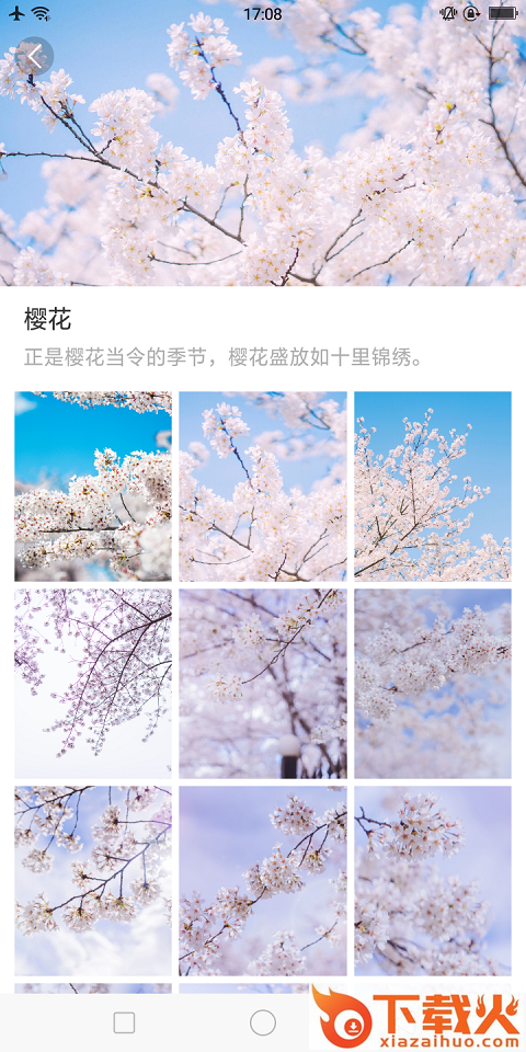 大脚壁纸截图1