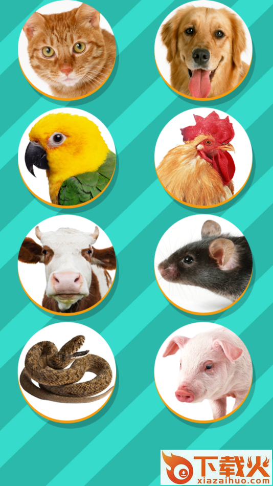 动物翻译器Pet Translator下载正版最新版截图2