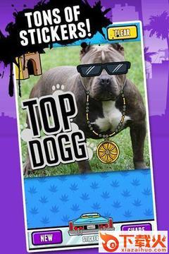 snoopify破解版下载截图1