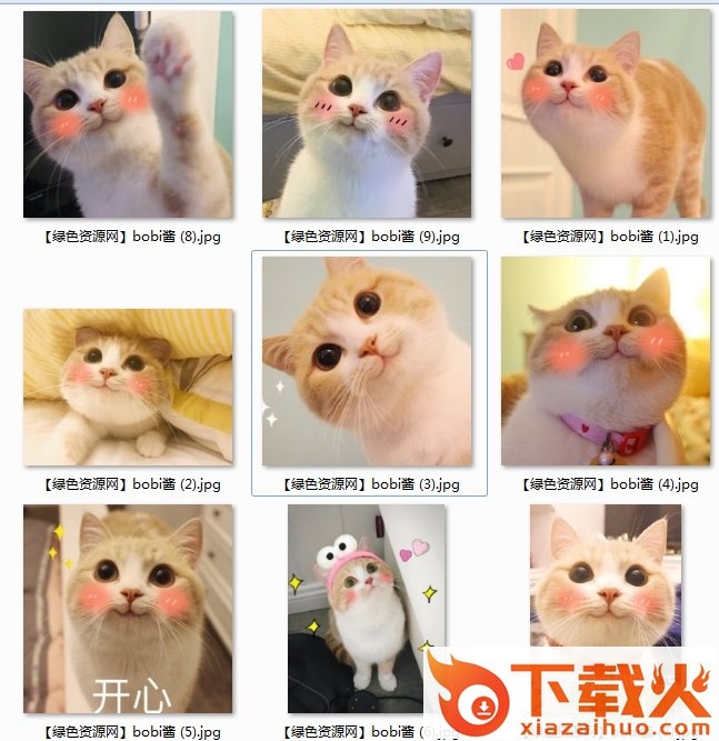 bobi酱表情包