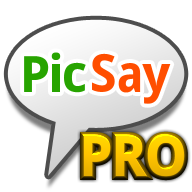 PicSaypro完美汉化版-PicSaypro汉化版下载v1.7.0.7 安卓版