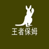 王者保姆app下载 v1.0 安卓版