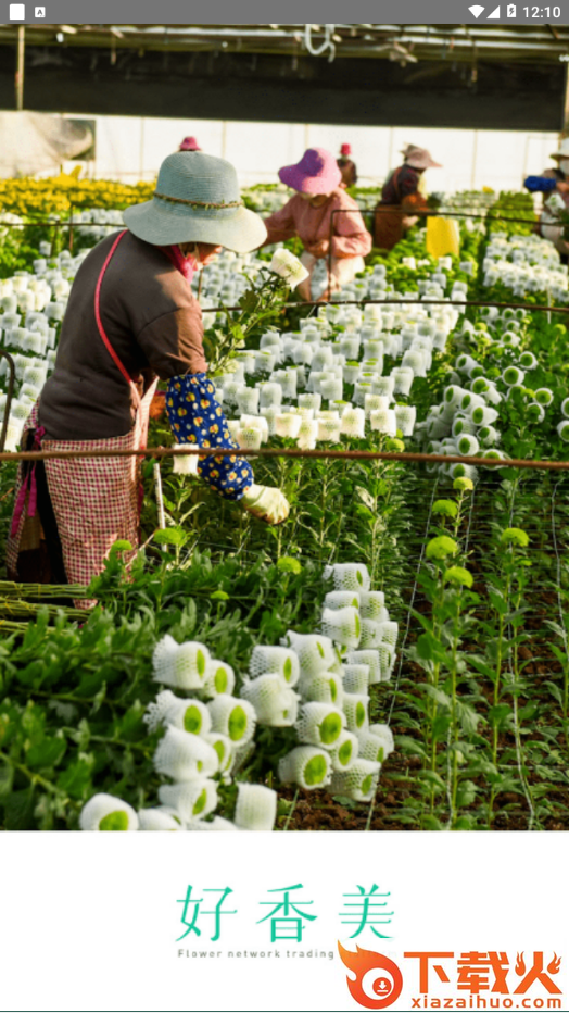 好香美app截图1
