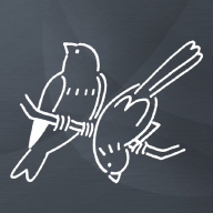 飞鸟画板 v2.1.0 免费版