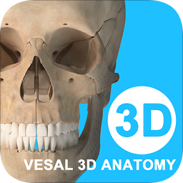 维萨里3d解剖官方下载-维萨里3d解剖电脑版下载v2.5.1 pc版