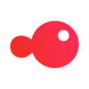 锦鲤团 v3.3.5 安卓版