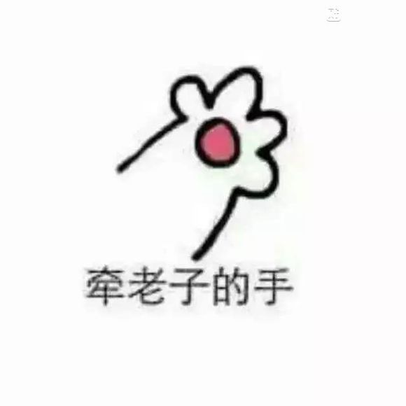 牵老子的手猫爪表情包 牵老子的手猫爪表情包