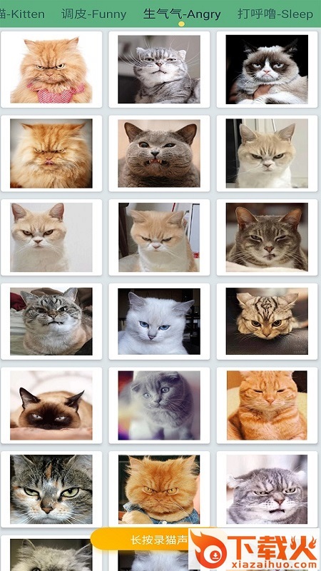 萌猫翻译神器截图1