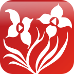 红草视界 v5.0 安卓版