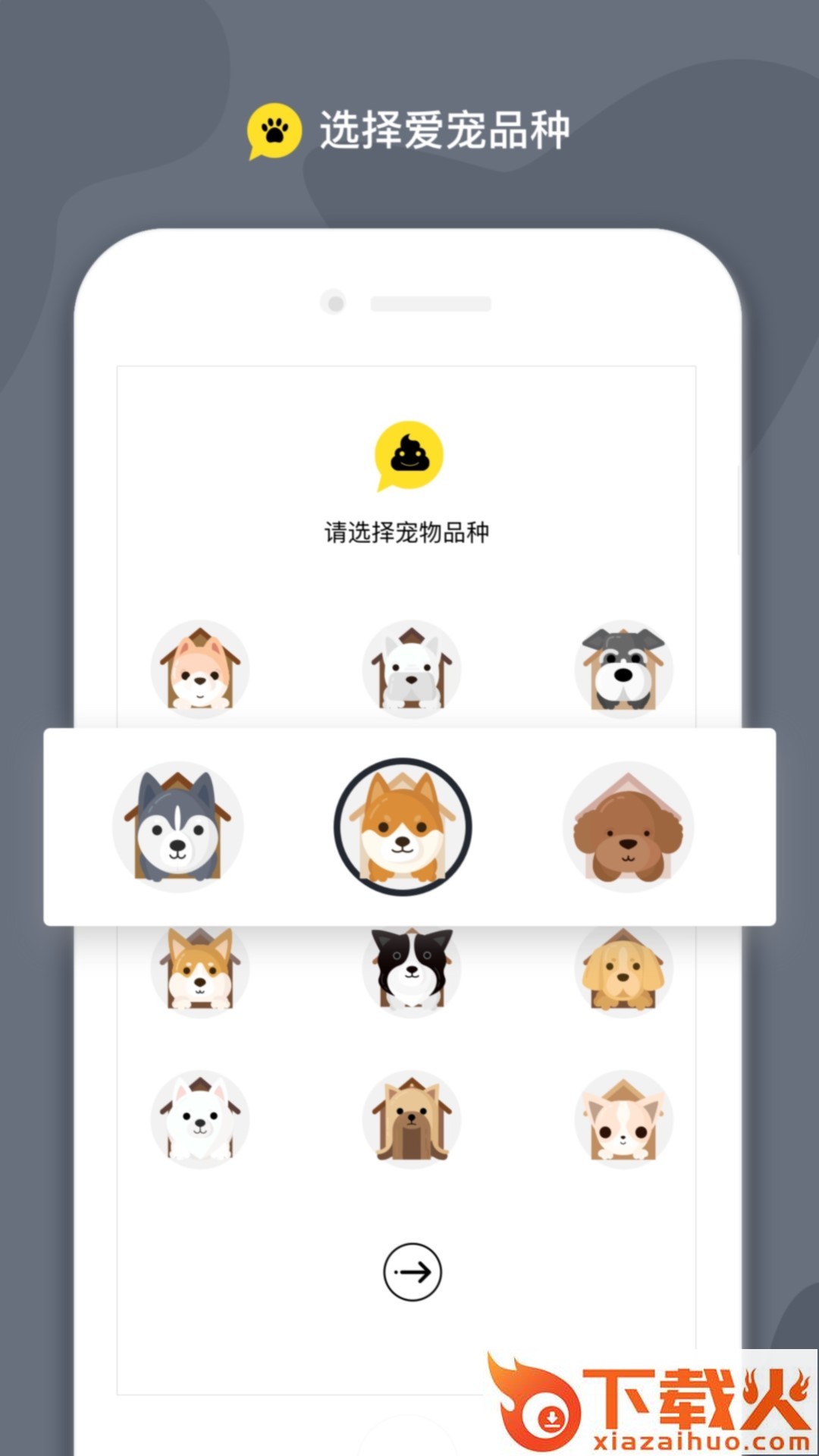 斗宠截图1