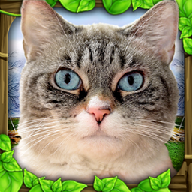 流浪猫模拟器中文版(StrayCatSim) v1 最新版 流浪猫模拟器中文版(StrayCatSim) v1 最新版