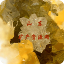 山东矿产资源网app v5.0.0 安卓版
