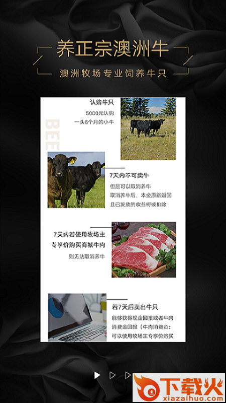 口袋牧场 v1.5.6 安卓版截图2