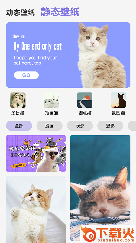 可爱喵喵壁纸大全截图1