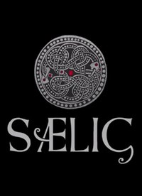 saelig汉化版下载-saelig中文版下载免安装