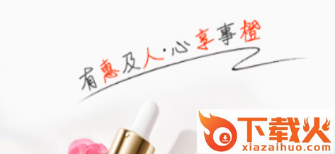 享橙截图3