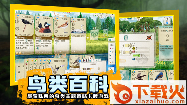 鸟类观察家 v1.1.101 最新版截图1
