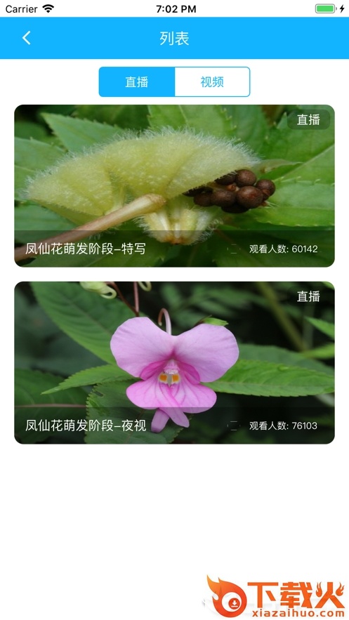 科米探索截图2