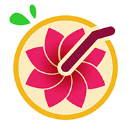 柚生 v1.7 安卓版
