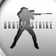 BrutalStrike联机战队 v1.4 安卓版