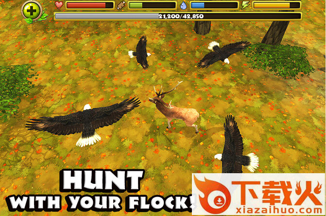 Eagle Simulator(模拟猎鹰)截图2
