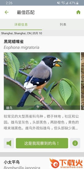 merlin官方版下载