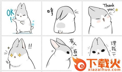 line小灰兔子高清表情包