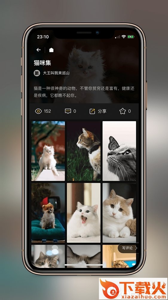 纸塘壁纸app截图2