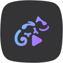 Stellio Player汉化版 v6.6.3 最新版