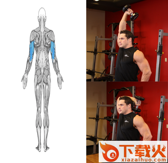 Dumbbells Workout哑铃锻炼 v2.0 安卓版截图1
