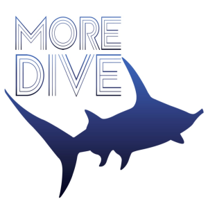 潜水指南MoreDive(潜水社交App) v1.0 安卓版