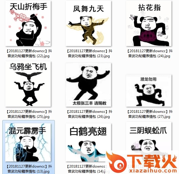 熊猫武功秘籍表情包