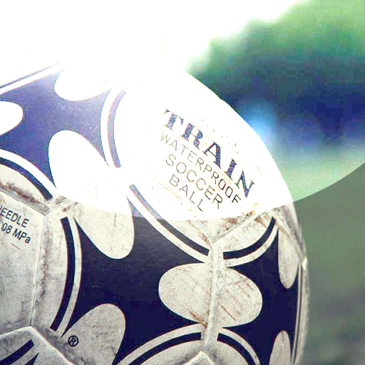 体育大师 v1.2.8 安卓版