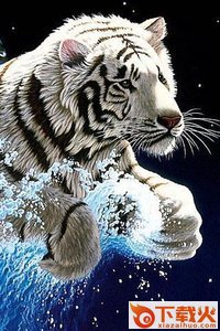 3D Tiger(3D虎)截图2