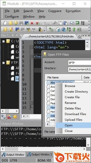 pilotedit lite中文版 v15.4 最新版 截图2