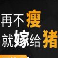 再不瘦就嫁给猪手游-再不瘦就嫁给猪(暂未上线)v1.0 安卓版