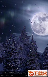 Snowfall Free飘雪动态主题截图2