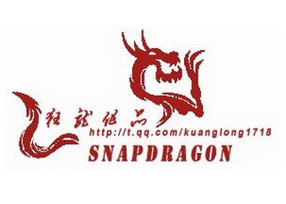 狂龙文件捕捉器下载-狂龙文件捕捉工具下载v1.0.0 正式版