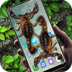 蝎子在手机爬行app v5.4.6 最新版 蝎子在手机爬行app v5.4.6 最新版