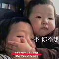 克制表情包(不你不想表情包) 高清无水印版 